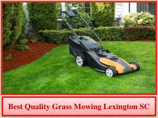 Best Quality Grass Mowing Lexington SC