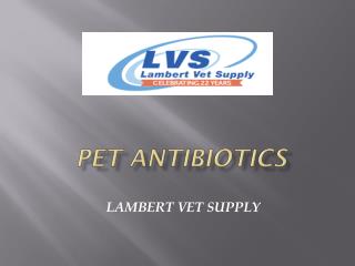 Pet Antibiotics