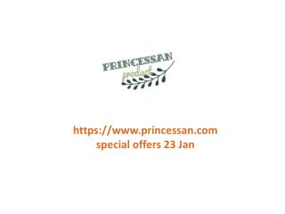 www.princessan.com special offers 23 Jan