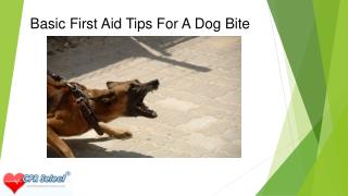 Basic First Aid Tips For A Dog Bite 