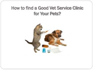 How to find a Good Vet Service Clinic for Your Pets?