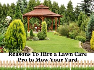 Reasons To Hire a Lawn Care Pro to Mow Your Yard