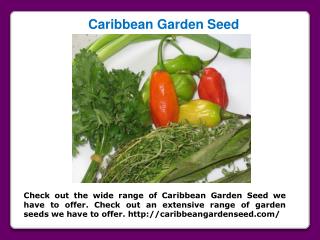 Untreated Seeds for sale