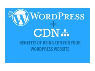 Importance of using CDN for your WordPress Website