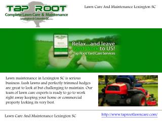 Lawn Care And Maintenance Lexington SC