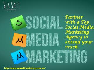 Partner with a top social media marketing agency to extend your reach