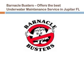 Barnacle Busters – Offers the best Underwater Maintenance Services in West Palm Beach FL