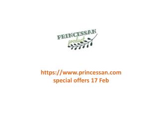 www.princessan.com special offers 17 Feb