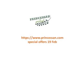 www.princessan.com special offers 19 Feb