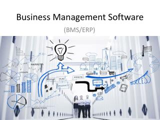 Business Management Software (BMS/ERP)