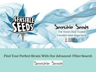 Marijuana Seed Banks