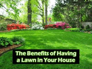 The Benefits of Having a Lawn in Your House