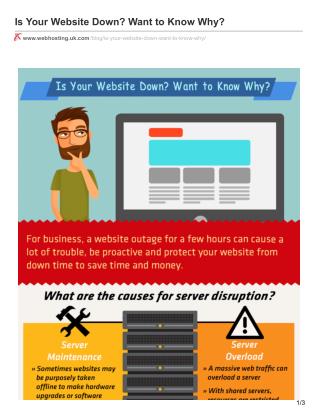Is Your Website Down? Want to Know Why?