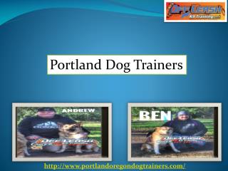 Dog Trainers Services in Portland Oregon