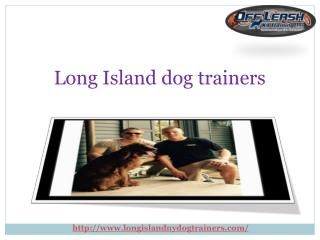 Providing Dog Training Services in Long Island New York USA
