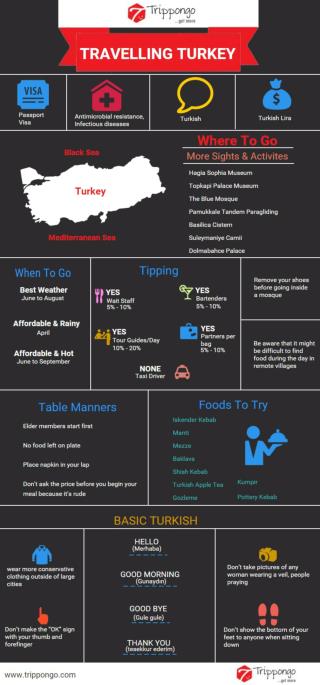 Turkey Travelling Infographic - Trippongo