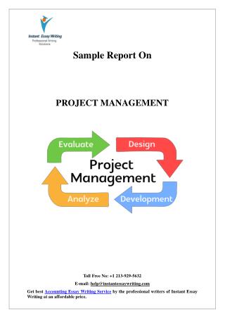 Sample On Project Management By Instant Essay Writing