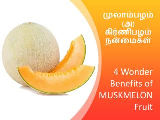 4 Wonder Benefits of Muskmelon Fruit - MyRightBuy