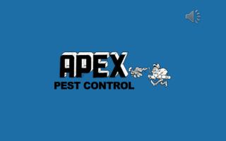 Quality Pest Control Services - Apex Pest Control