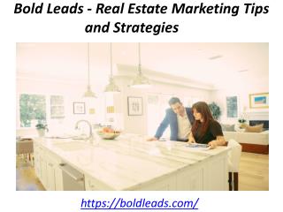Bold Leads - Real Estate Marketing Tips and Strategies