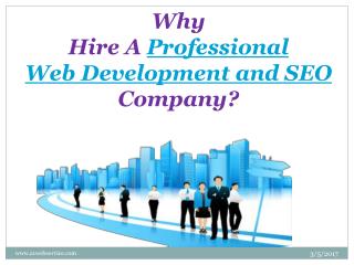 Why Hire a Professional Web Development and SEO Company?