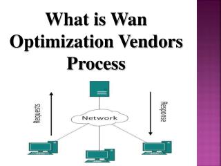 What is Wan Optimization Vendors Process