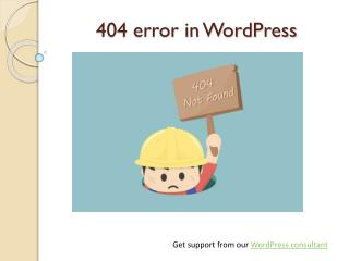 WordPress Support for 404 Errors