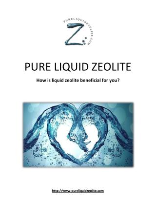 Best Liquid Zeolite Products