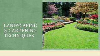 Landscaping and Gardening Techniques