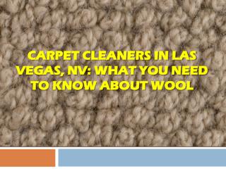 Carpet Cleaners In Las Vegas, NV: What You Need To Know About Wool