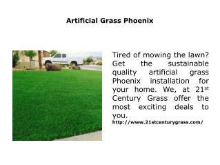 Artificial Grass Phoenix