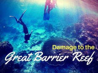 Damage to the Great Barrier Reef