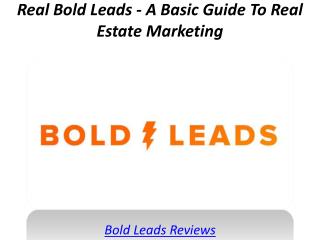 Real Bold Leads - A Basic Guide To Real Estate Marketing