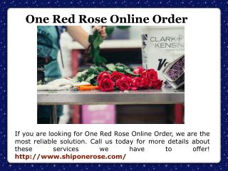 Single Rose Delivery