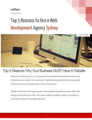 Top 5 Reasons to hire a Web Development Agency Sydney- netStripes