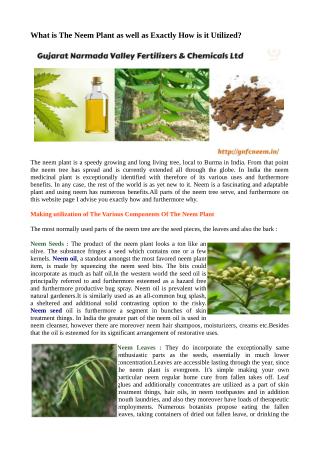 Uses and Benefits of Neem Plant
