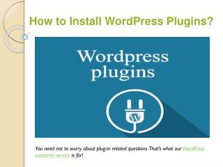 WordPress Support for plugin