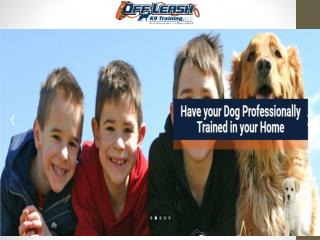 Best Dog Training Services in Fairfax Va