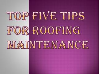 Five Best Tips for Roofing Maintenance