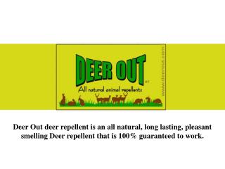 Deer Out- Natural Deer