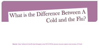 What is the Difference Between A Cold and the Flu?