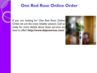 Send Single Rose Online