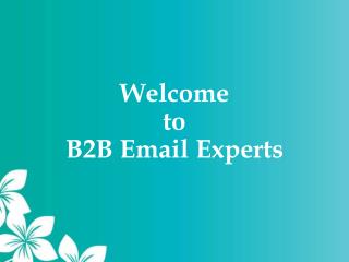 B2B Email Marketing Service Providers - B2B Email Experts