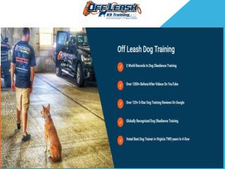 Best Dog Trainers in Houston USA