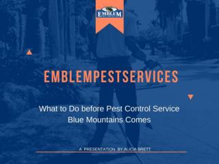 What to Do before Pest Control Service Blue Mountains Comes