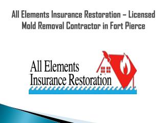 Licensed Mold Removal Contractor in Fort Pierc