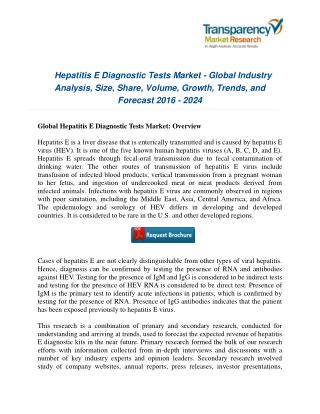 Hepatitis E Diagnostic Tests Market : Competitive Landscape, Technological Breakthroughs & Industry Analysis – 2024
