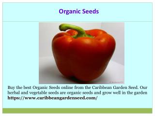 Buy Plant Seeds Online
