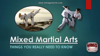 Mixed Martial Arts – Things you Really Need to Know