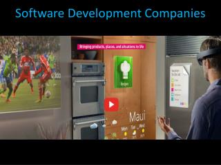 software developement companies